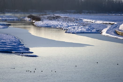 River with snow and ice, with birds 