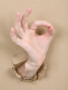 Gesture male hand through from hole in cardboard