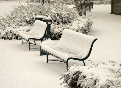 Benches and bushes of the park full of snow