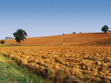 Rural landscape