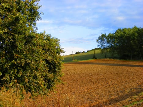 Landscape of hills, with clouds and trees