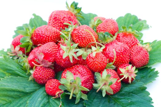 ripe strawberries on green leaves,  isolated on white