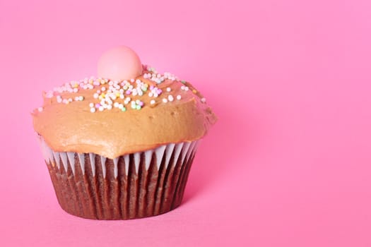 chocolate cupcake on pink background