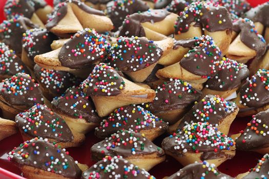 chocolate covered fortune cookies upclose