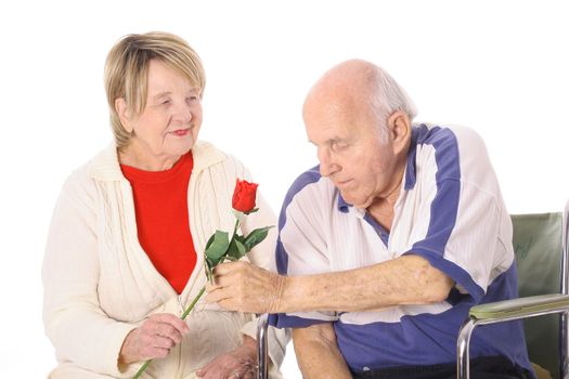 man in wheelchair giving wife a rose