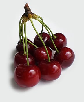 red cherries on white background