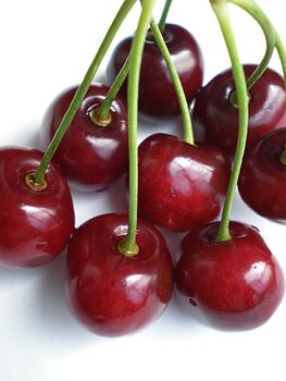 red cherries on white background