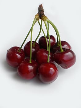 red cherries on white background