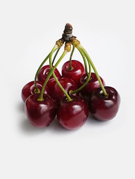 red cherries on white background