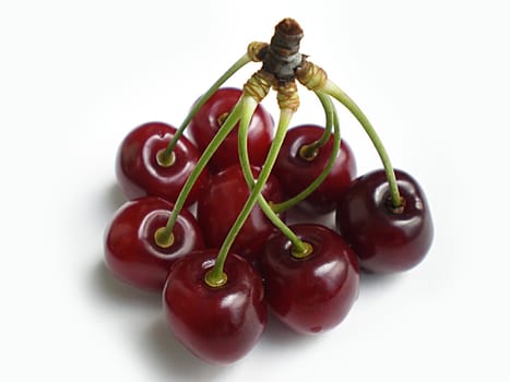 red cherries on white background