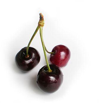 red cherries on white background