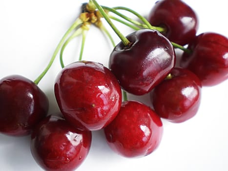 red cherries on white background