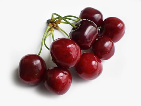 red cherries on white background