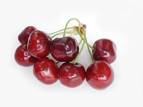 red cherries on white background