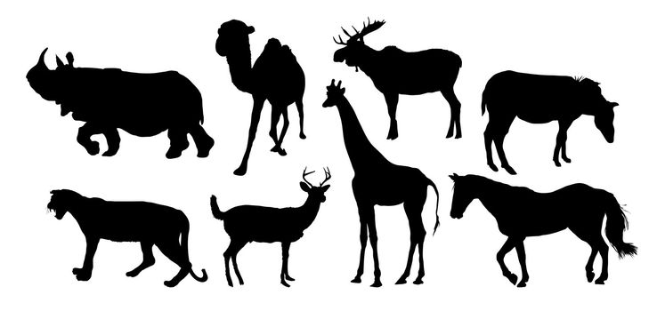 silhouettes of various animals on white
