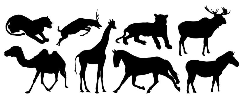 silhouettes of various animals on white