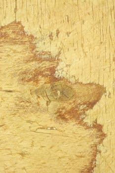 Texture to Old Wooden Surface of Board for Cutting of Food