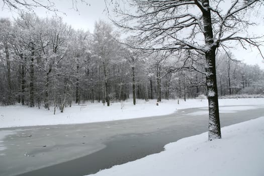 winter landscape with wood and lake after snowfall