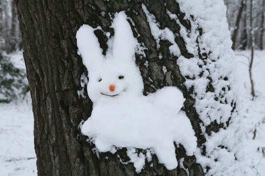 hare from snow on tree