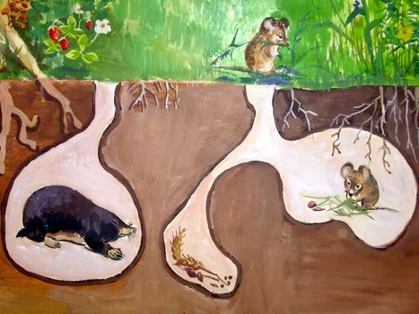 Painted picture with various underground living animals