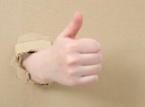 The female hand on cardboard background (thumb up)