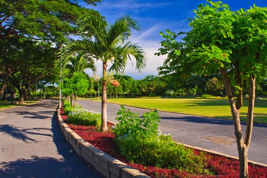 Road way in park