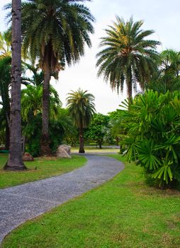 Stone way in park vertical