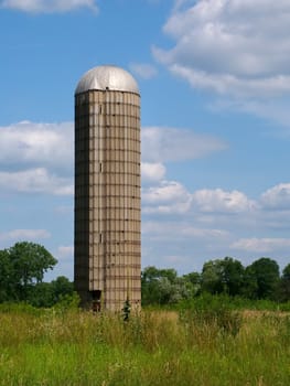 An abandoned farm silo at Distillery Conservation Area in northern Illinois.