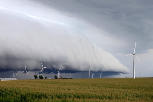Wind turbines under an ominous shelf cloud in northern Illinois.