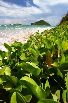 Waves splash against the coast at Anse de Sables Beach in Saint Lucia.