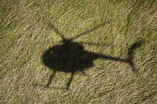 Helicopter shadow over green grassy field in Maui, Hawaii.