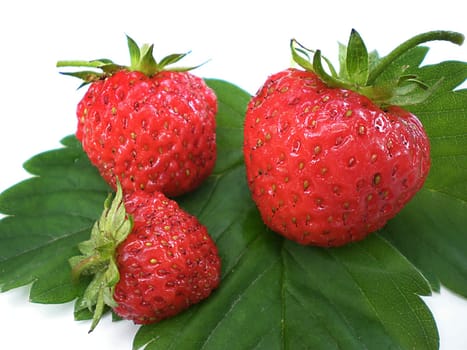 strawberries on green leaves