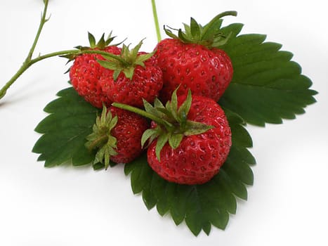 strawberries on green leaves