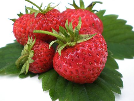 strawberries on green leaves