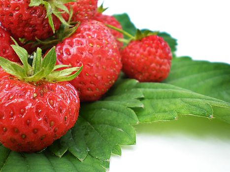 strawberries on green leaves