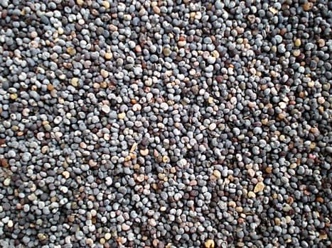 poppy seeds isolated on white background