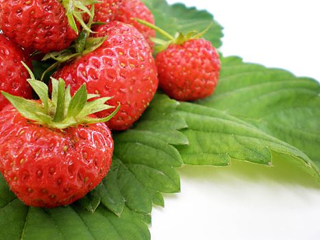 strawberries on green leaves