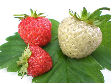 unique strawberry being different from the group