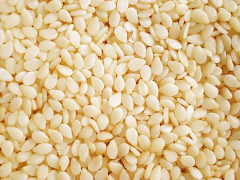 sesame seeds isolated on white background