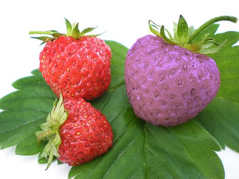 unique strawberry being different from the group