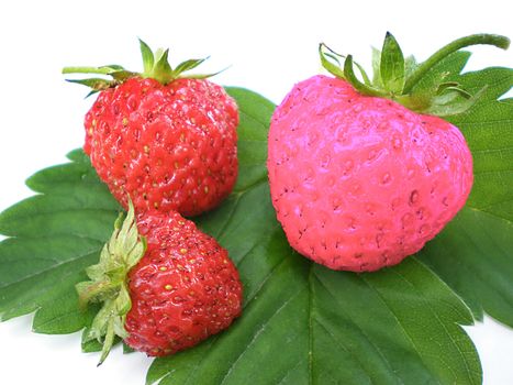 unique strawberry being different from the group