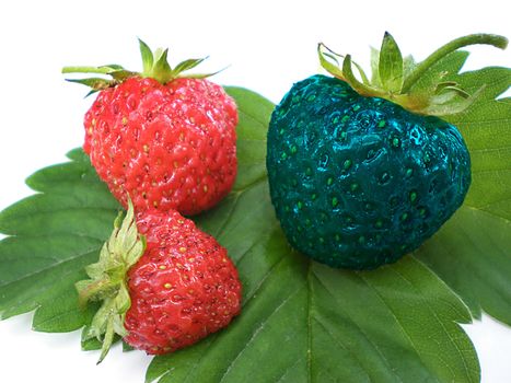 unique strawberry being different from the group