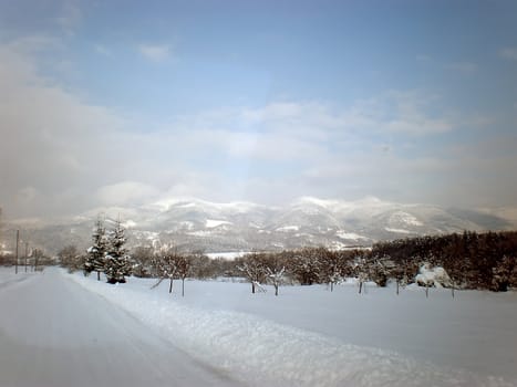 white snow winter landscape on the road