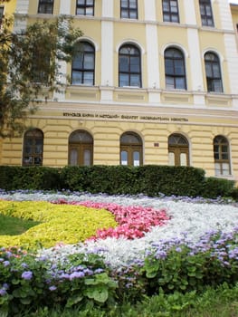 variety of colorful blooming flowers in a garden in autumn