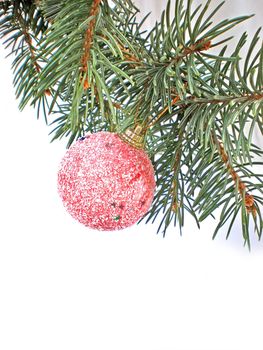 decorated pine Christmas branch isolated on white background