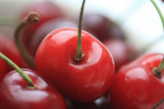 A red cherry in close up, some other cherries in the background