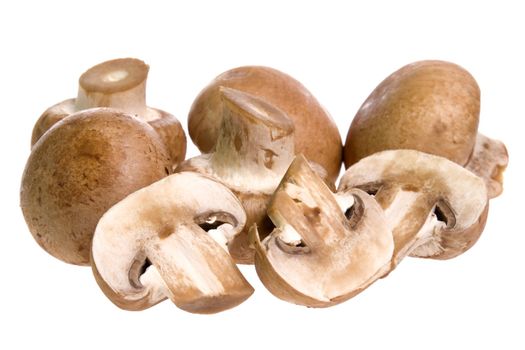 Isolated image of Swiss brown mushrooms.