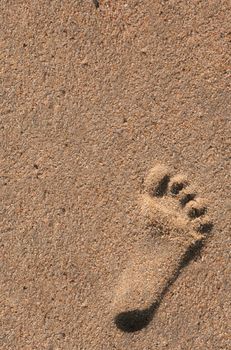 Single Footprint of a Child in the Sand at the Beach