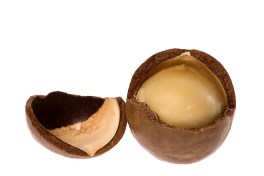 Isolated macro image of a Macadamia Nut.