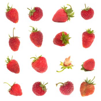 Strawberry  �n a white background